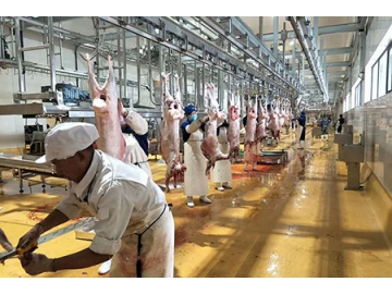 Carcass Processing Line