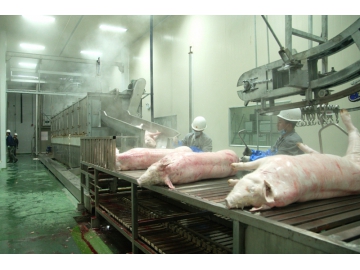 Pig Processing Plant for Chaishan Foods