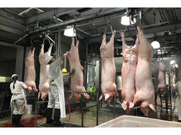 Pig Processing Plant for Chaishan Foods