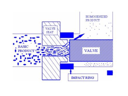 Pharmaceutical Homogenizer