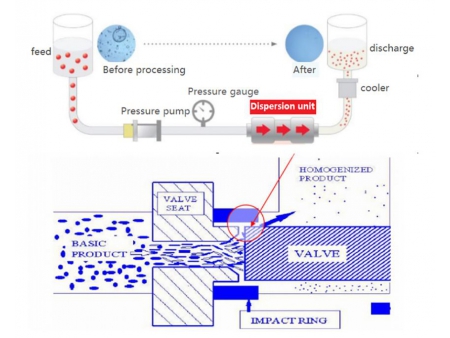 High Pressure Homogenizer