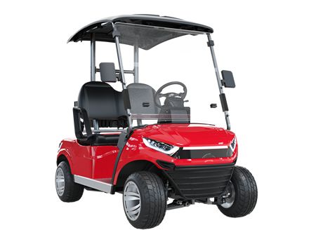 Electric Golf Cart