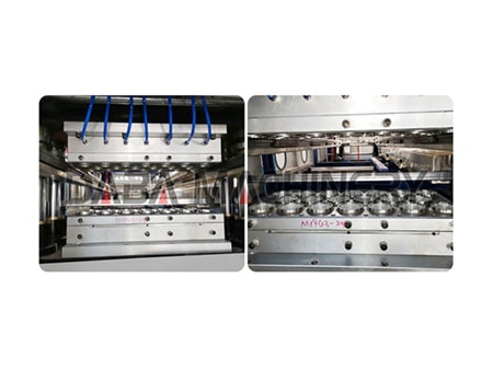 Plastic Cup Thermoforming Machine, DB-750