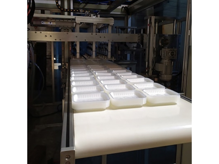 In-Mould Cutting Thermoforming Machine, DB-3021