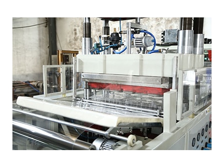 BOPS Plastic Thermoforming Machine, DB-5162/5476/6378/7095