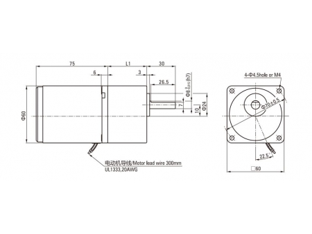 60mm 6W Induction Motor