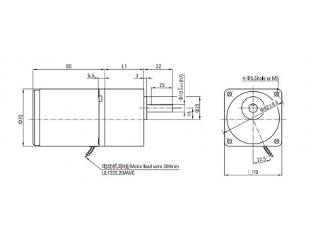 70mm 15W  Induction Motor