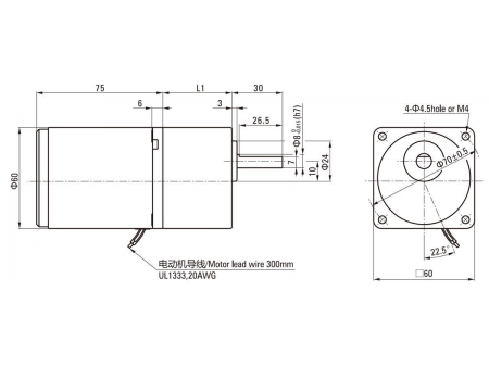 60mm 6W  Reversible Motor