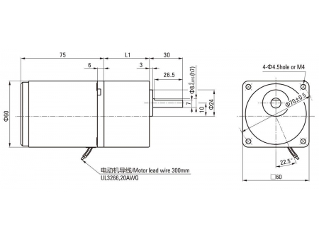 Torque Motor