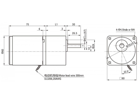 Torque Motor