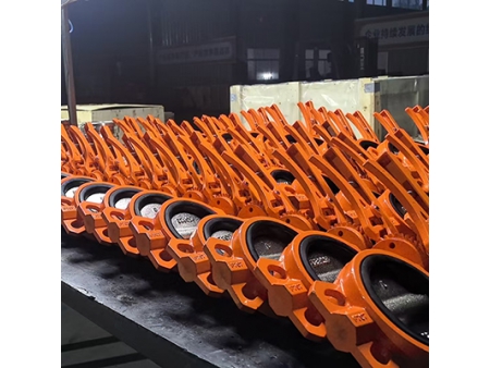 Triple Offset Butterfly Valve