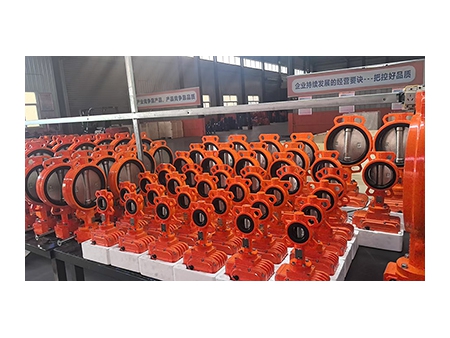 Butterfly Valves