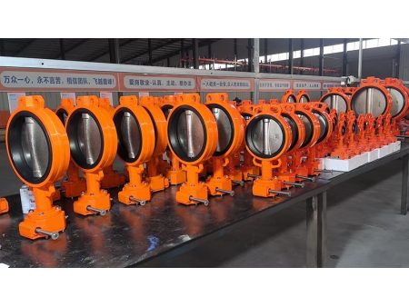 Butterfly Valves