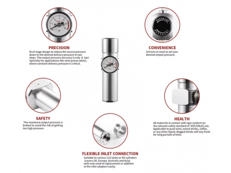 BP04 Professional Adjustable CO₂ Dual Stage Regulator, for Laboratory, Wine Preservation, Pest Control and Welding