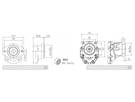 External Gear Pumps