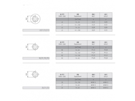 External Gear Pumps