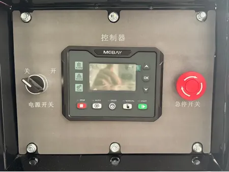 4 inch/8 inch Gasoline Water Pump