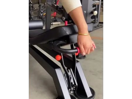 Vertical Leg Press