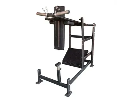 Pendulum Squat Machine