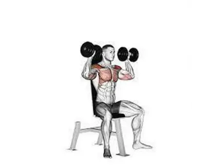 Bench Press