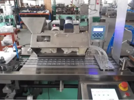 Blister Packaging Machine