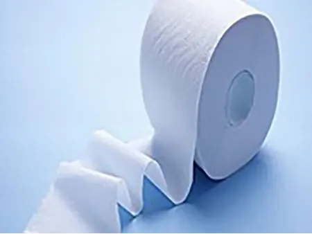 Facial Tissue & Toilet Paper Manufacturing