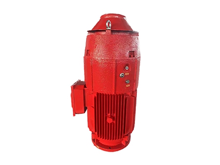 Vertical Fire Pump Motor