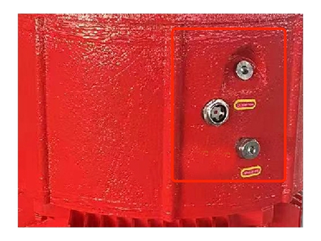 Vertical Fire Pump Motor