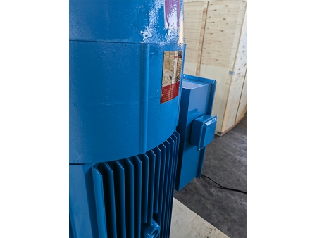 VFD Compatible Deep Well Pump Motor