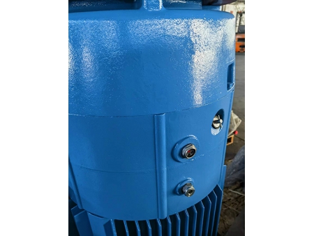 VFD Compatible Deep Well Pump Motor