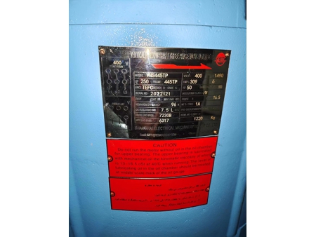 VFD Compatible Deep Well Pump Motor