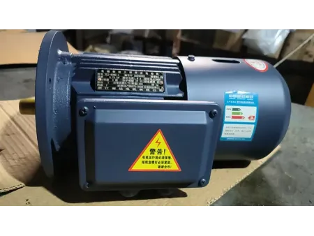 TEFC Three-Phase Asynchronous Motor