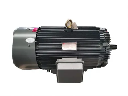 NEMA Premium Efficiency Three-Phase Asynchronous Motor