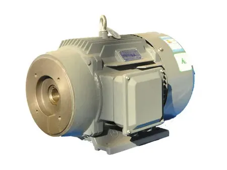 Direct Drive Oil Pump Motor