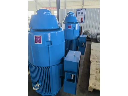High Voltage Vertical Pump Motor