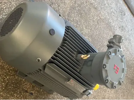 TEFC Explosion Proof Motor