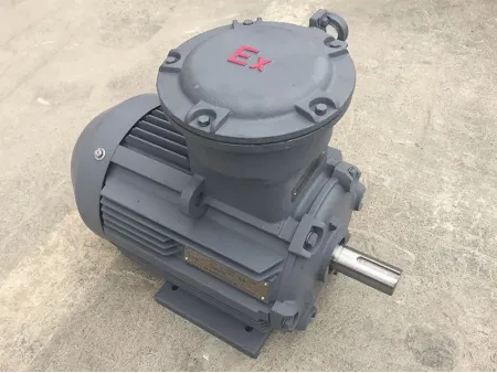 High Efficiency Explosion Proof Motor