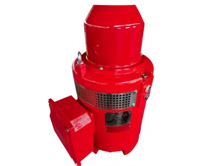 Vertical Fire Pump Motor