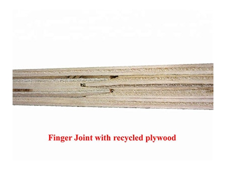 Finger Joint Core Film Faced Plywood