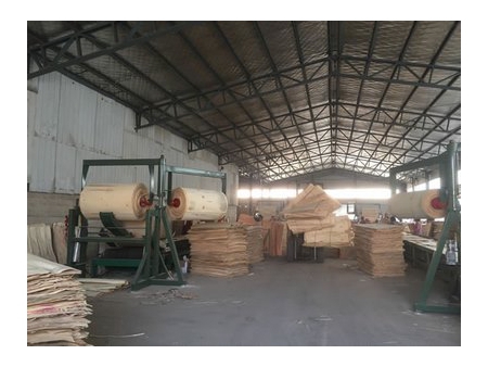 LVL Plywood   (Laminated Veneer Lumber)