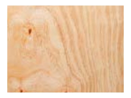 Radiata Pine Faced Plywood