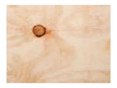 Radiata Pine Faced Plywood