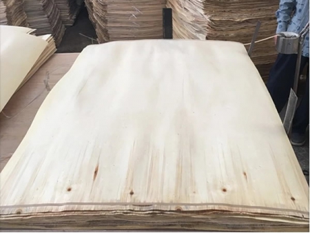 Poplar/Combi/Hardwood Core Film Faced Plywood