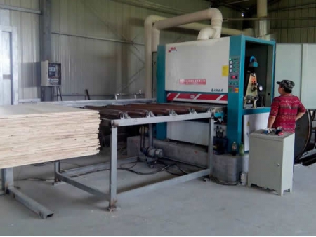 Poplar/Combi/Hardwood Core Film Faced Plywood