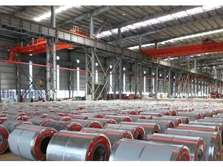 Pre-Painted Steel Sheet and Coil