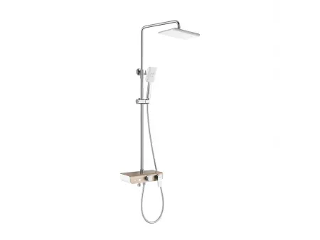 Multifunctional Shower System