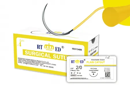 Plain Catgut Suture