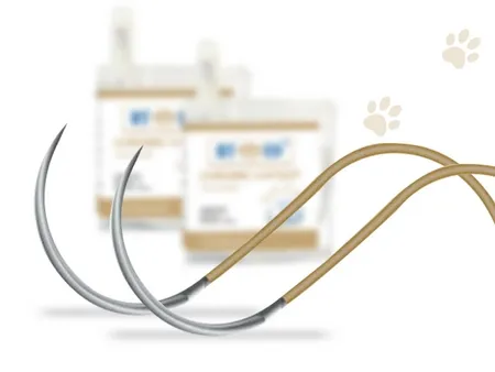 Veterinary Surgical Suture