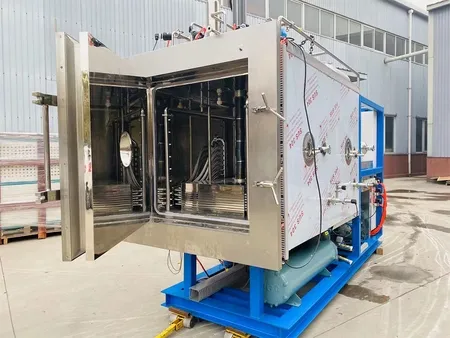 Vacuum Freeze Dryer