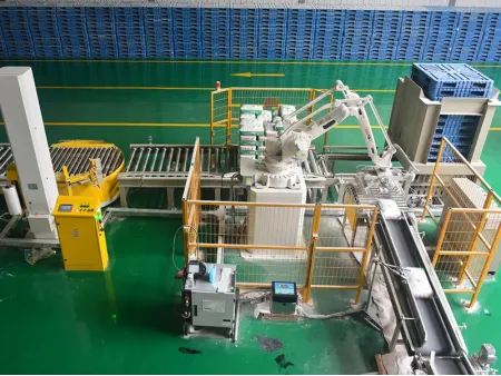 Automatic Palletizing Equipment